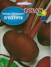 burak-cwiklowy-egipski-10-g-polan