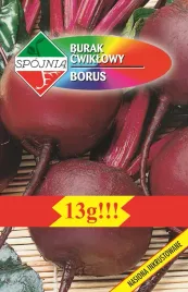 burak-cwiklowy-borus-13-g-spojnia