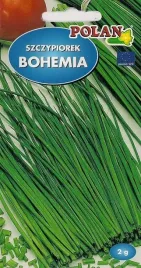 szczypiorek-bohemia-2-g-polan