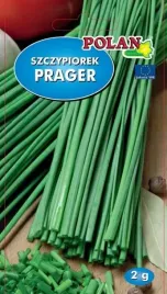 szczypiorek-prager-2-g-polan