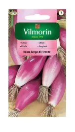 cebula-czerwona-podluzna-rossa-lunga-di-firenze-2-g-vilmorin