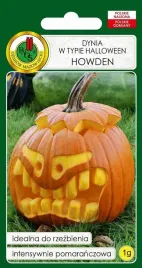 dynia-howden-1-g-pnos-typ-halloween
