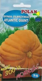 dynia-olbrzymia-atlantic-gigant-3-g-polan