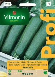 cukinia-anissa-2-g-vilmorin