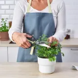 nozyce-do-drobiu-ikea-svartfisk-linia-svartfisk