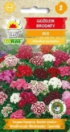 gozdzik-brodaty-mix-nasiona-1-g-jadalne-kwiaty