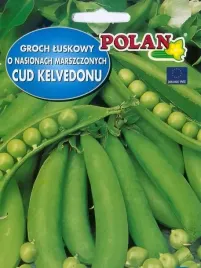 groch-siewny-luskowy-cud-kelvedonu-40-g-polan