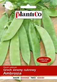 groch-siewny-cukrowy-ambrosia-40-g-plantico