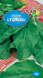 szczaw-lyonski-2-g-polan