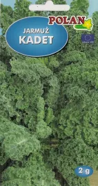 jarmuz-kadet-2-g-polan