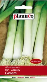 por-golem-1-g-plantico