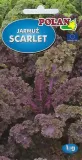 jarmuz-scarlet-1-g-polan
