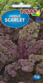 jarmuz-scarlet-1-g-polan