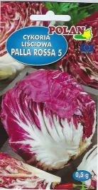 cykoria-lisciowa-palla-rossa-0-5-g-polan