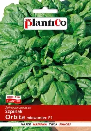 szpinak-f1-orbita-10-g-plantico