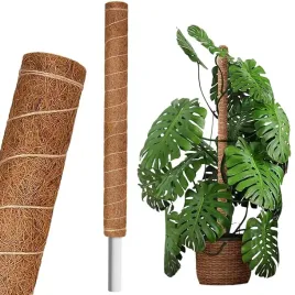 palik-kokosowy-60-cm-tyczka-podpora-do-roslin-pnacych-40-mm