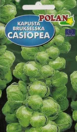 kapusta-brukselka-casiopea-2-g-polan