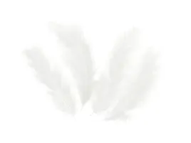 piorka-dekoracyjne-biale-dlugie-50-szt