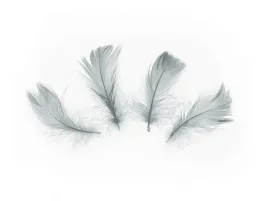 piorka-dekoracyjne-szare-krotkie-50-szt