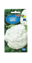 kalafior-beta-1-g-polan