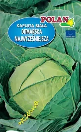 kapusta-glowiasta-biala-ditmarska-najwczesniejsza-2-g-polan