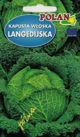 kapusta-wloska-langedijska-2-g-polan