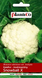 kalafior-snowball-1-g-plantico
