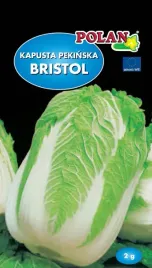 kapusta-pekinska-bristol-2-g-polan