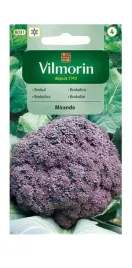 brokul-miranda-1-g-vilmorin