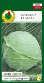 kapusta-glowiasta-biala-hornet-f1-05-g-pnos