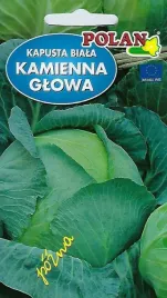 kapusta-glowiasta-biala-kamienna-glowa-2-g-polan