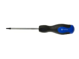 wkretak-srubokret-torx-t10-100mm