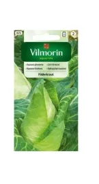 kapusta-glowiasta-stozkowa-filderkraut-2-g-vilmorin
