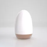 crushious-ezy-egg-the-novice-masturbator-egg