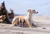 pokusa-oceanic-line-cod-liver-oil-500ml-postac-plyn